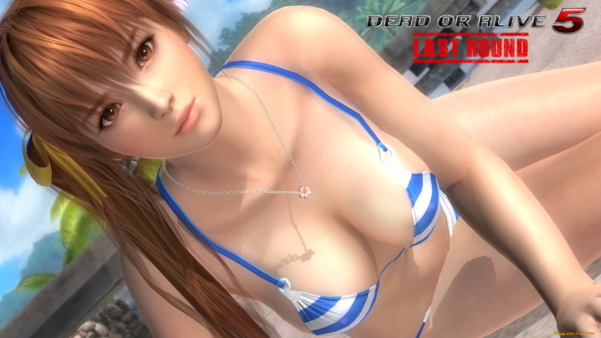  , dead or alive 5, , , 